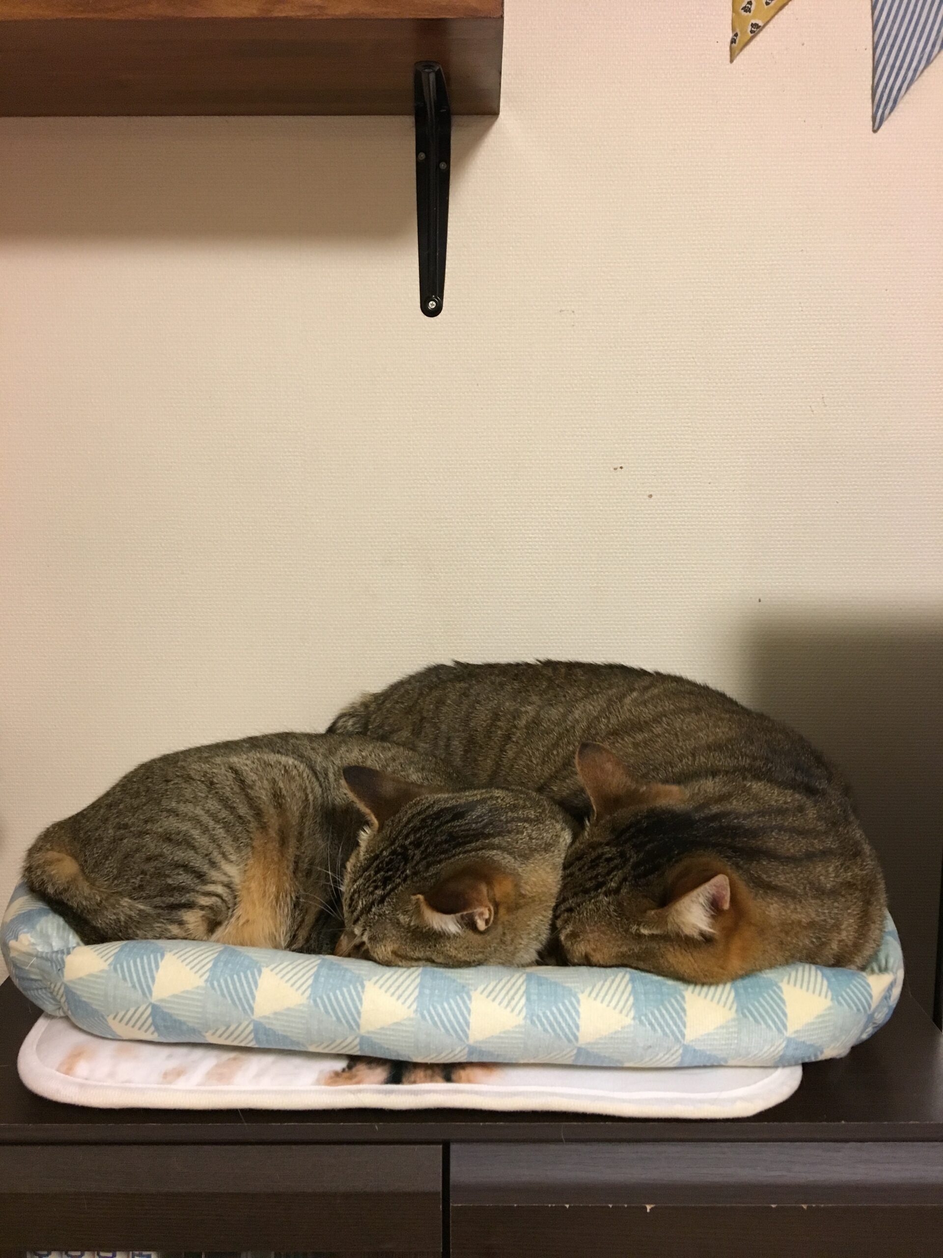 なかったものと考える派
