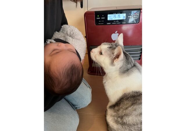 毎月のスタッフの大仕事