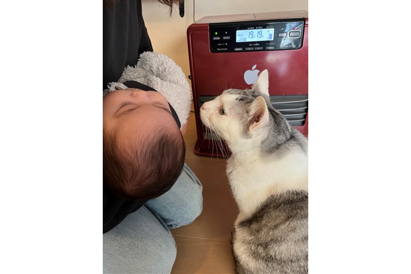 毎月のスタッフの大仕事