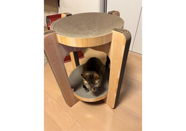 2月のお便りです