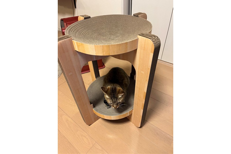 2月のお便りです